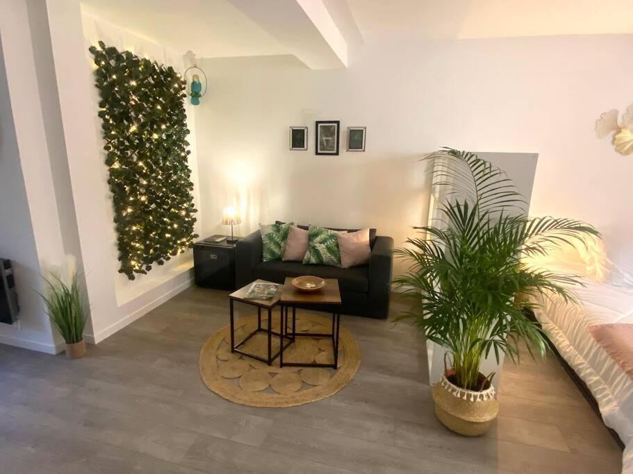 Studio Coeur De Ville Proche Bords De Loire Orleans Ngoại thất bức ảnh